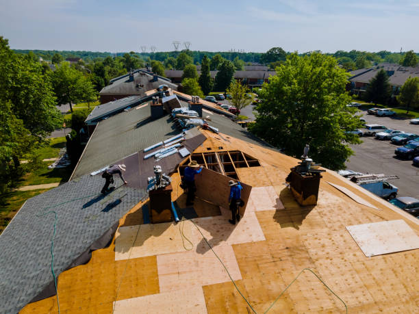 Best Storm Damage Roof Repair  in Chatsworth, GA