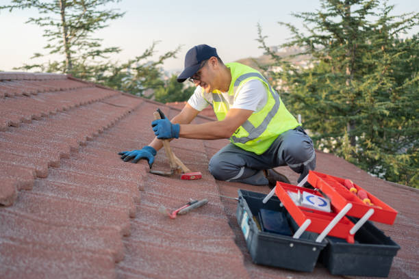 Professional Roofing Contractor in Chatsworth, GA